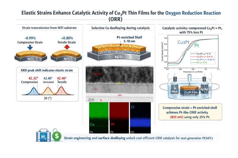 Strain-Engineered Cu₃Pt Catalyst Cuts Platinum by 75% in Hydrogen Fuel Cell Cathodes