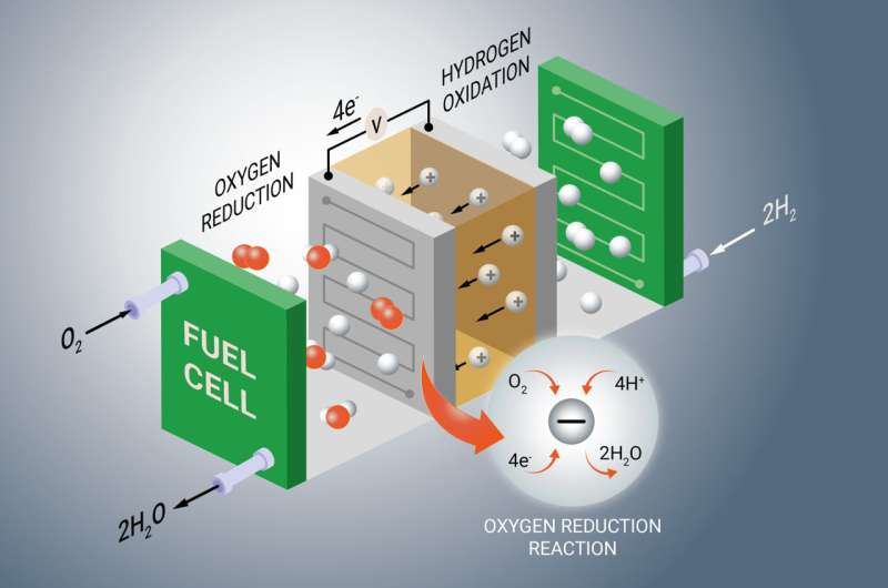 Fuel cell technology: dynamic rate-limiting steps unveiled in catalyst kinetics