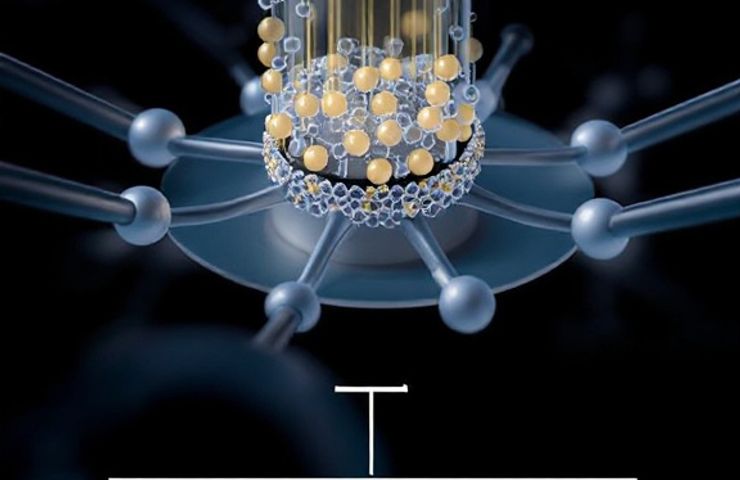 Fuel Cell Catalyst Durability Enhanced by Nitrogen-Doped Graphene Shells on Pt@N-FLG/SWCNT