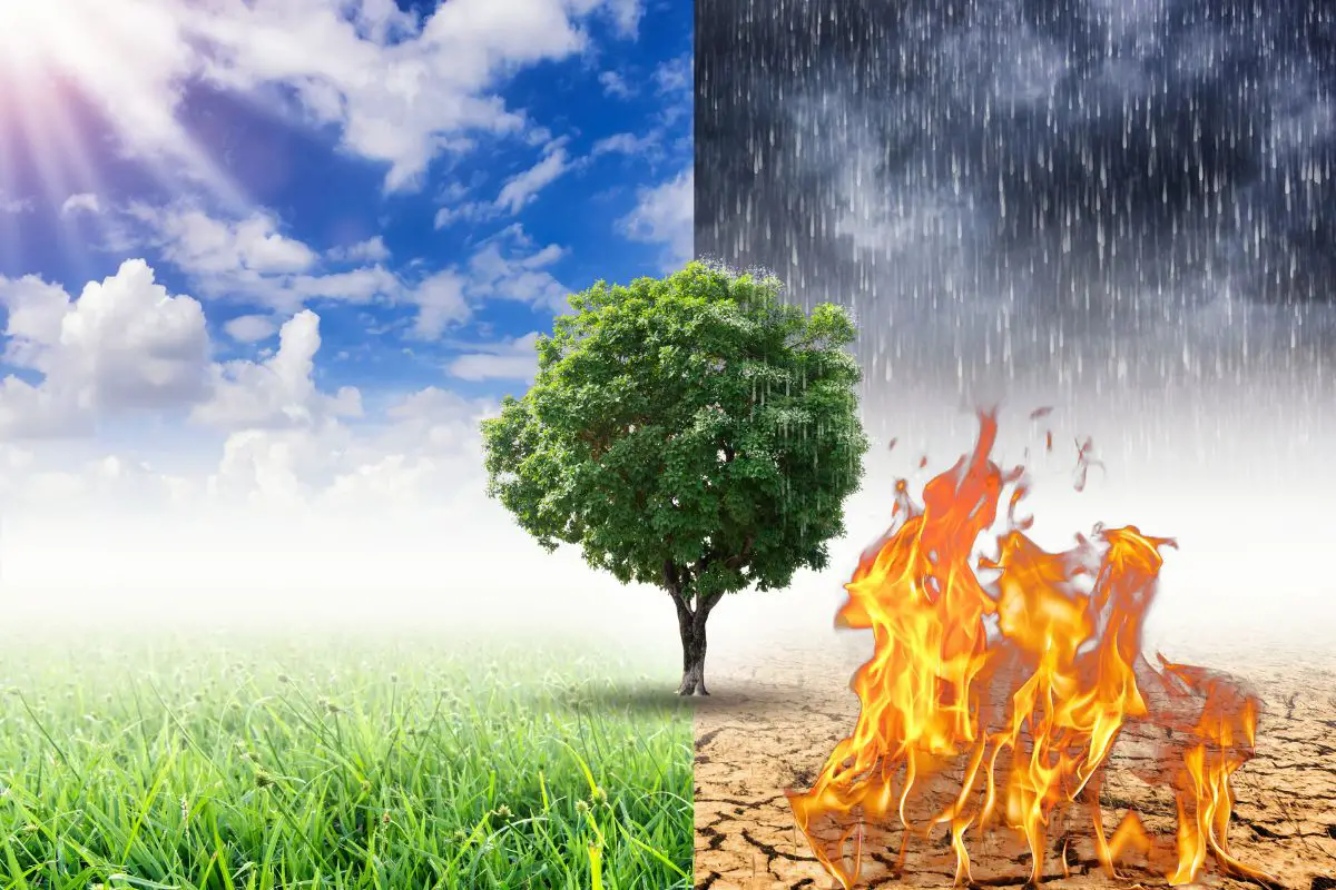 Renewable Energy - Climate Change - Disasters