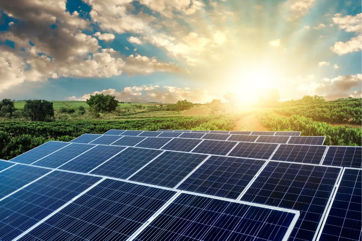 Green Hydrogen Initiative Seeks to Lead in Global Green Ammonia Exportation - H2 News