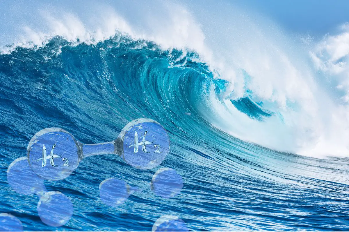 Could offshore green hydrogen production help combat anoxia? - H2 News