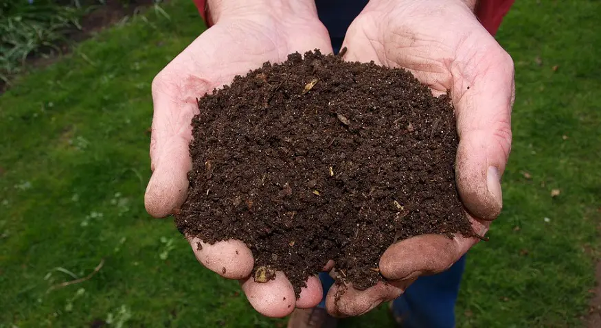 Human body composting to become law in Washington State