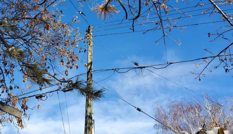 Solving Electric Grid’s “Last Mile” With Distributed Fuel Cells
