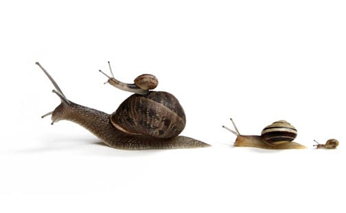 MIT report shows the sluggish growth in efficiency from auto - Alternative Energy News