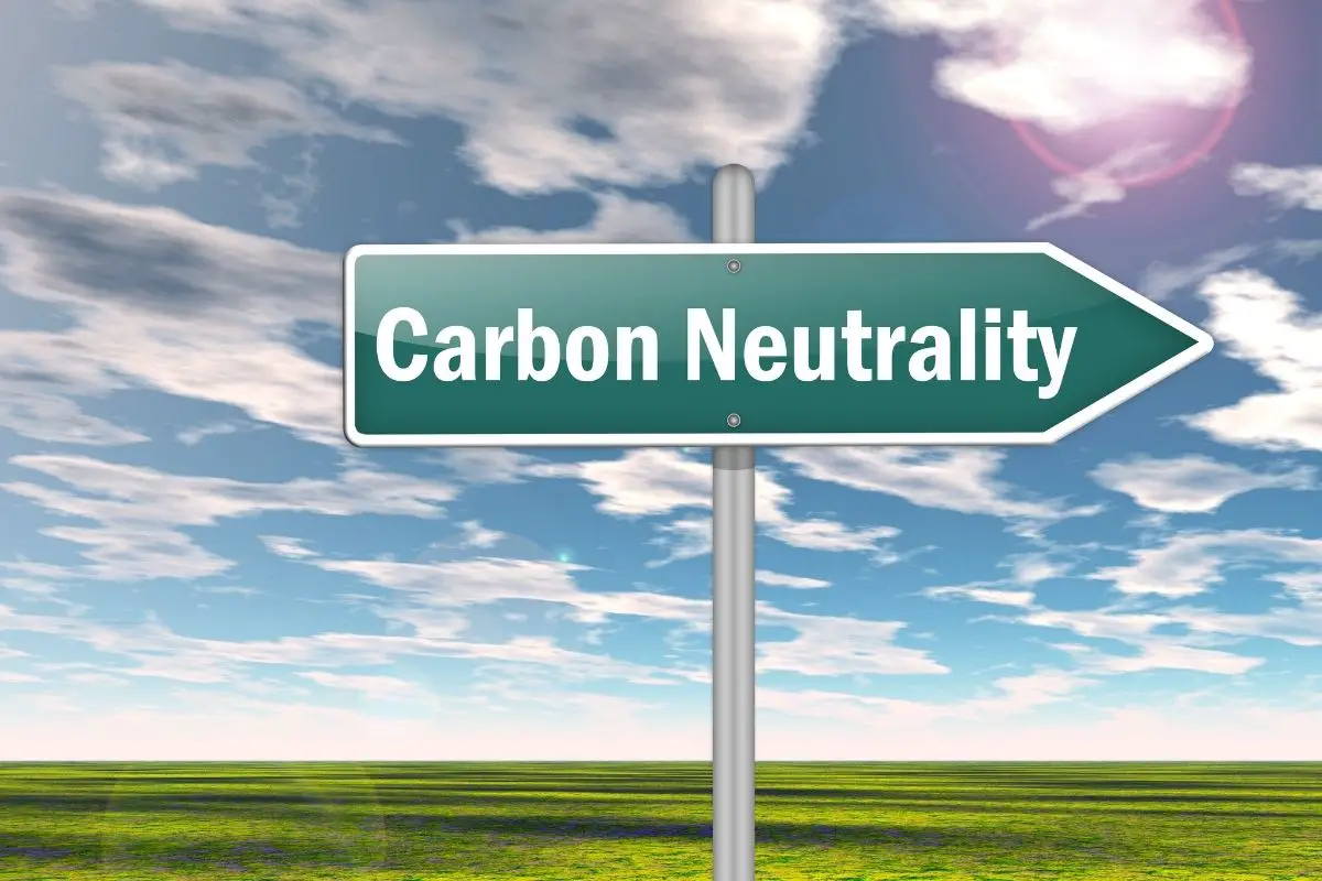 Green Hydrogen Contributes to Global Carbon-Neutral