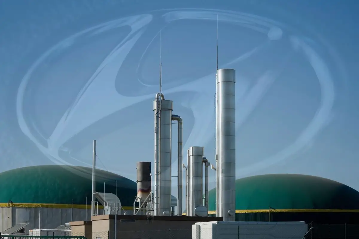 Hyundai to establish green hydrogen ecosystem with new technologies - H2 News