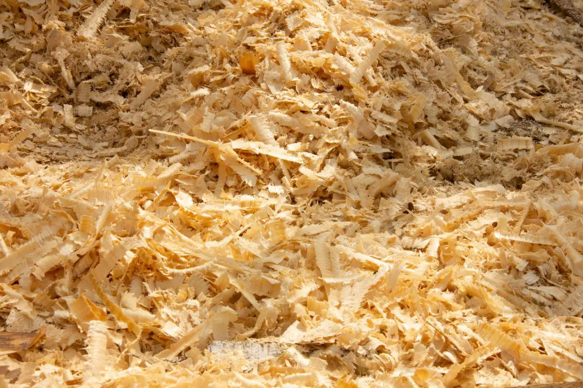 Hydrogen fuel production - Image of sawdust and shavings