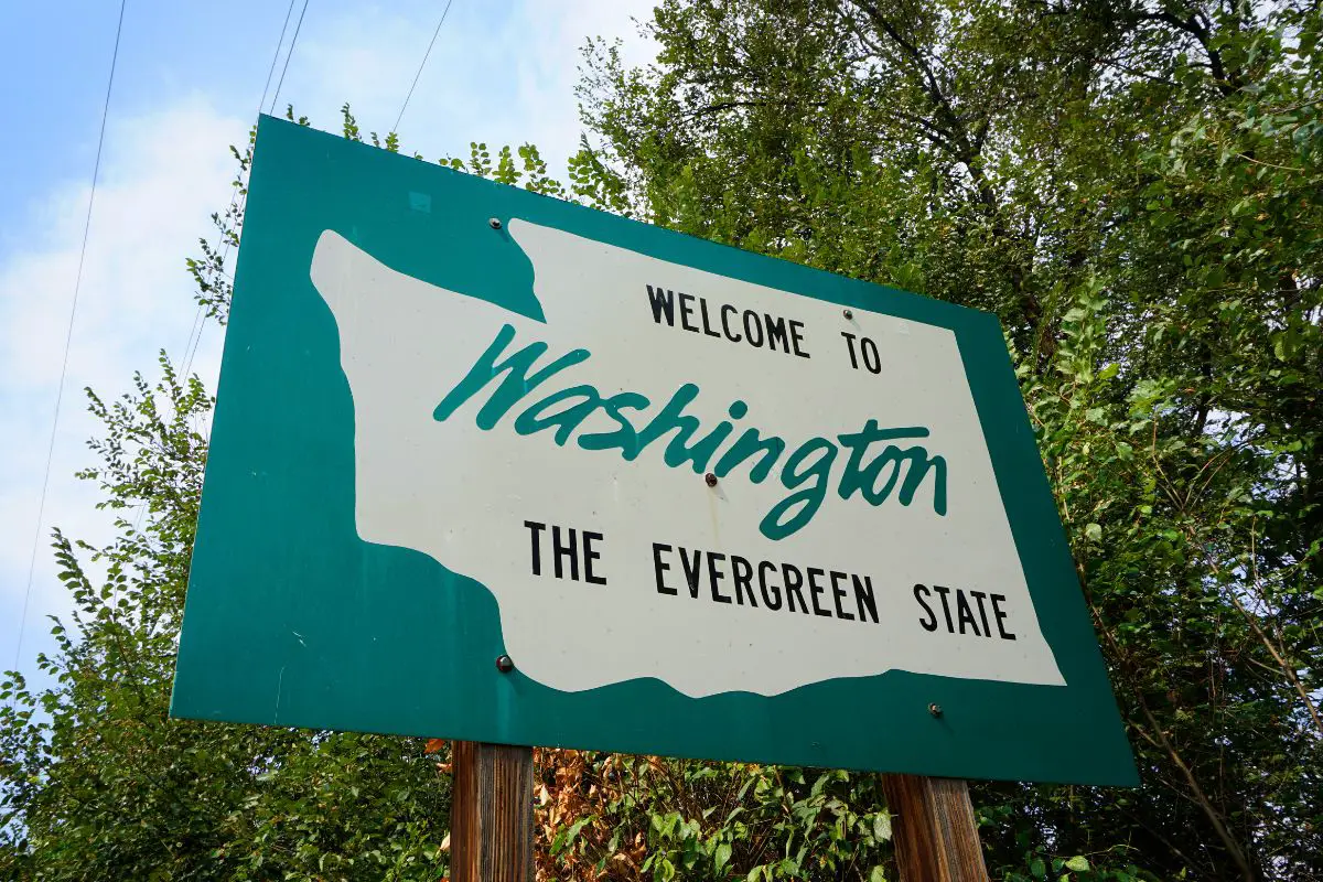 Hydrogen fuel aviation to expand in Washington state - H2 News