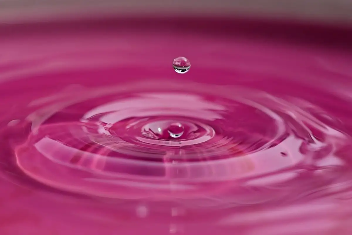 Exelon Generation to produce pink hydrogen at Nine Mile Point