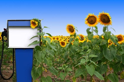 Biofuels losing support of U.S. government - Hydrogen Fuel News