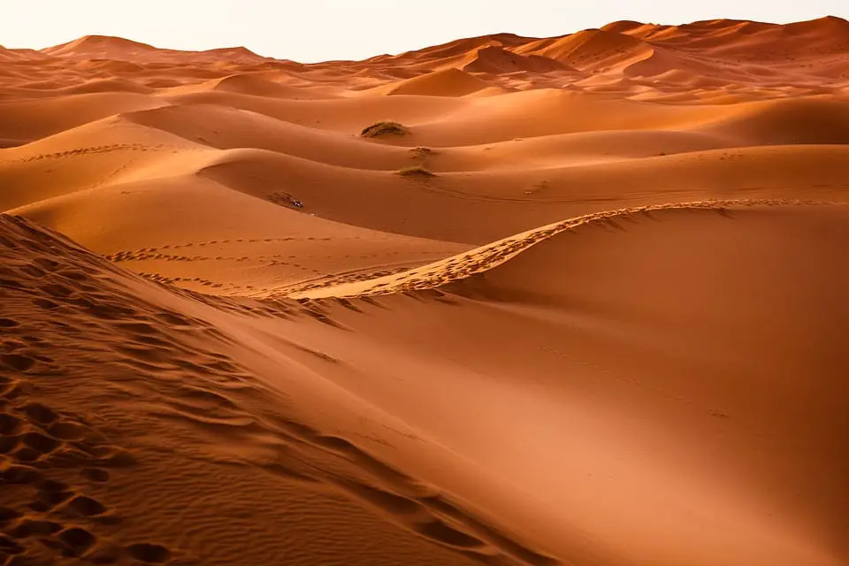 Wind and solar power may increase rain and vegetation in the Sahara Desert