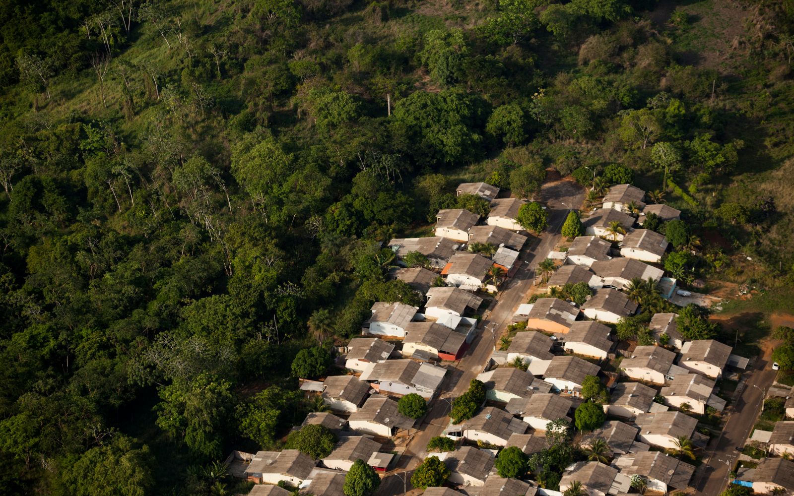 How do REDD+ Projects have a Positive Impact