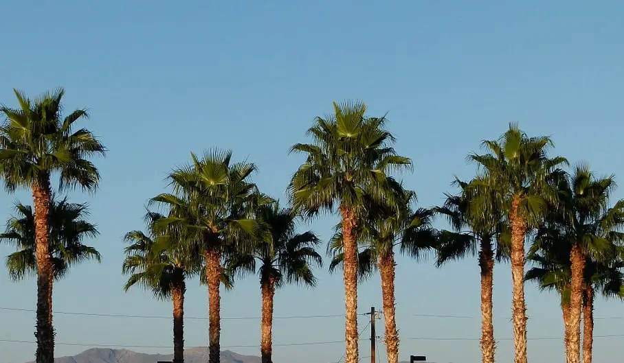 California reaches new solar energy record - Hydrogen News