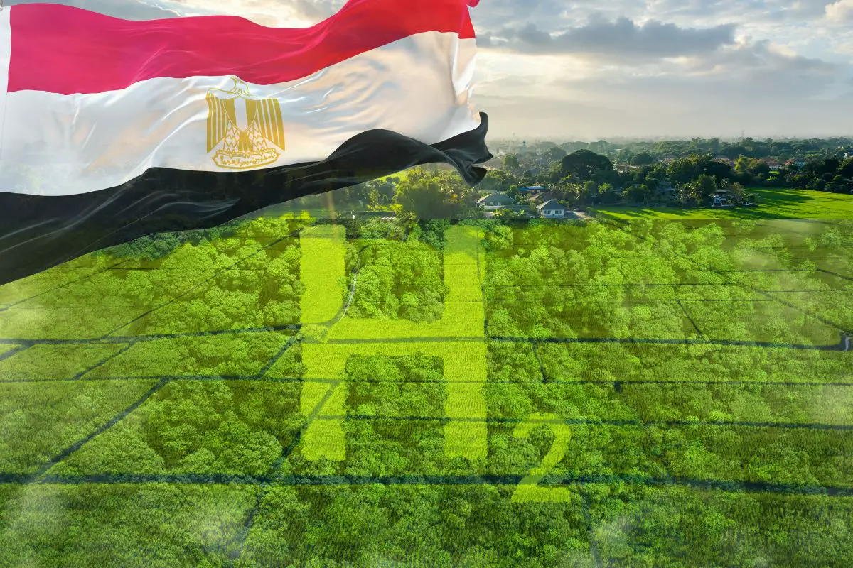 Egypt sets aside over 16K square miles for green hydrogen - H2 News