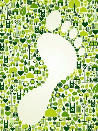Renewable Energy - Forward Step Renewable Energy - Forward Step