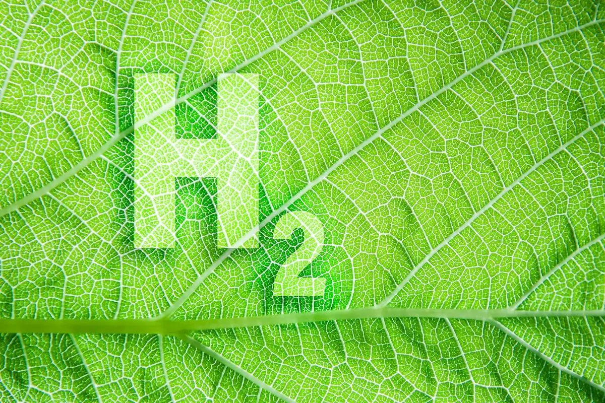 Prime Minister Modi seeks to make India a global green hydrogen energy hub