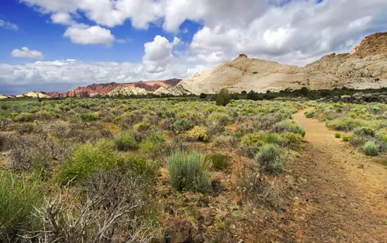 Federal government begins to examine the alternative energy potential of contaminated land - Hydrogen Fuel News