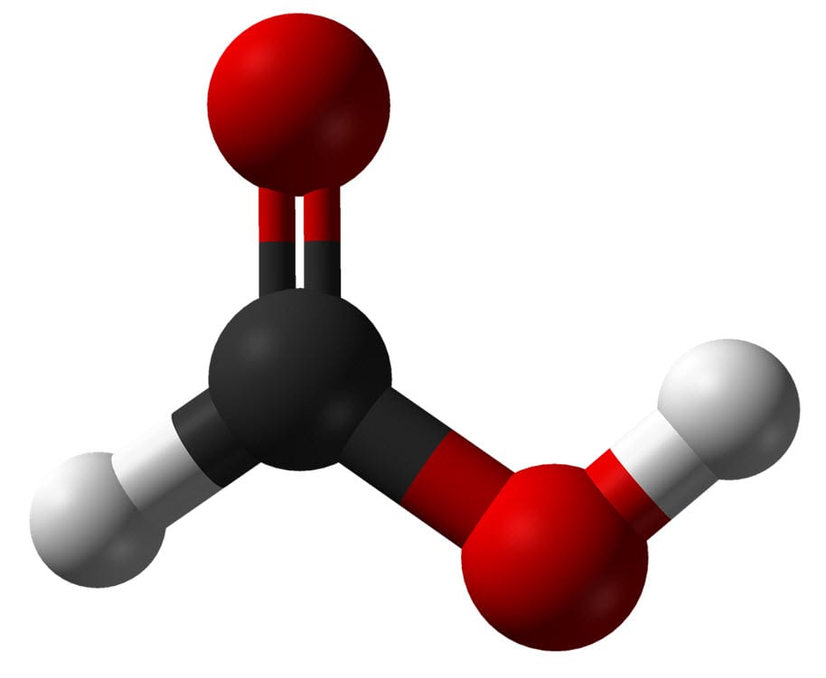 Ant and bee venom might be the answer to storage - Hydrogen Fuel News