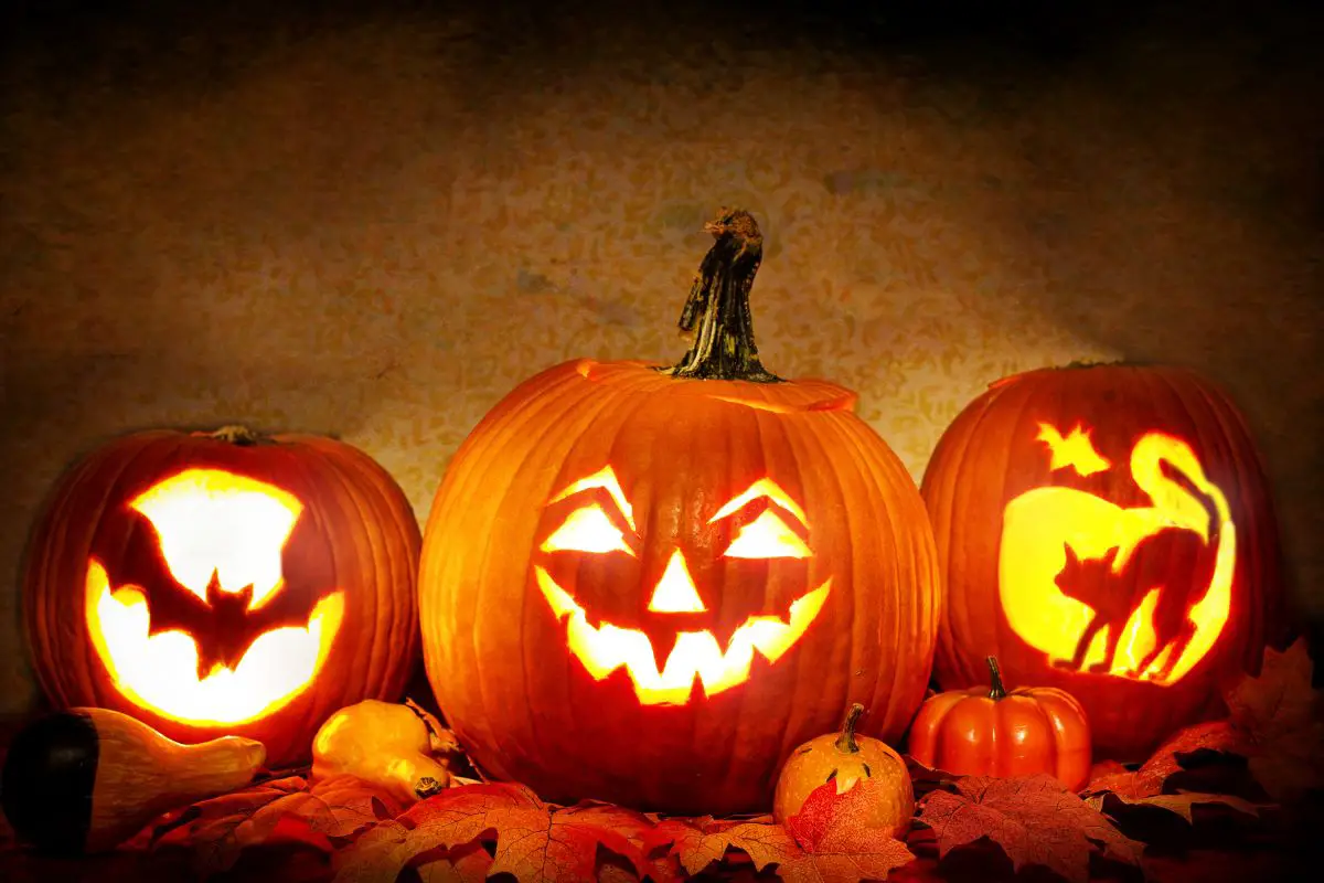 Reduce your pumpkin waste after Halloween, the climate will thank you - H2 News
