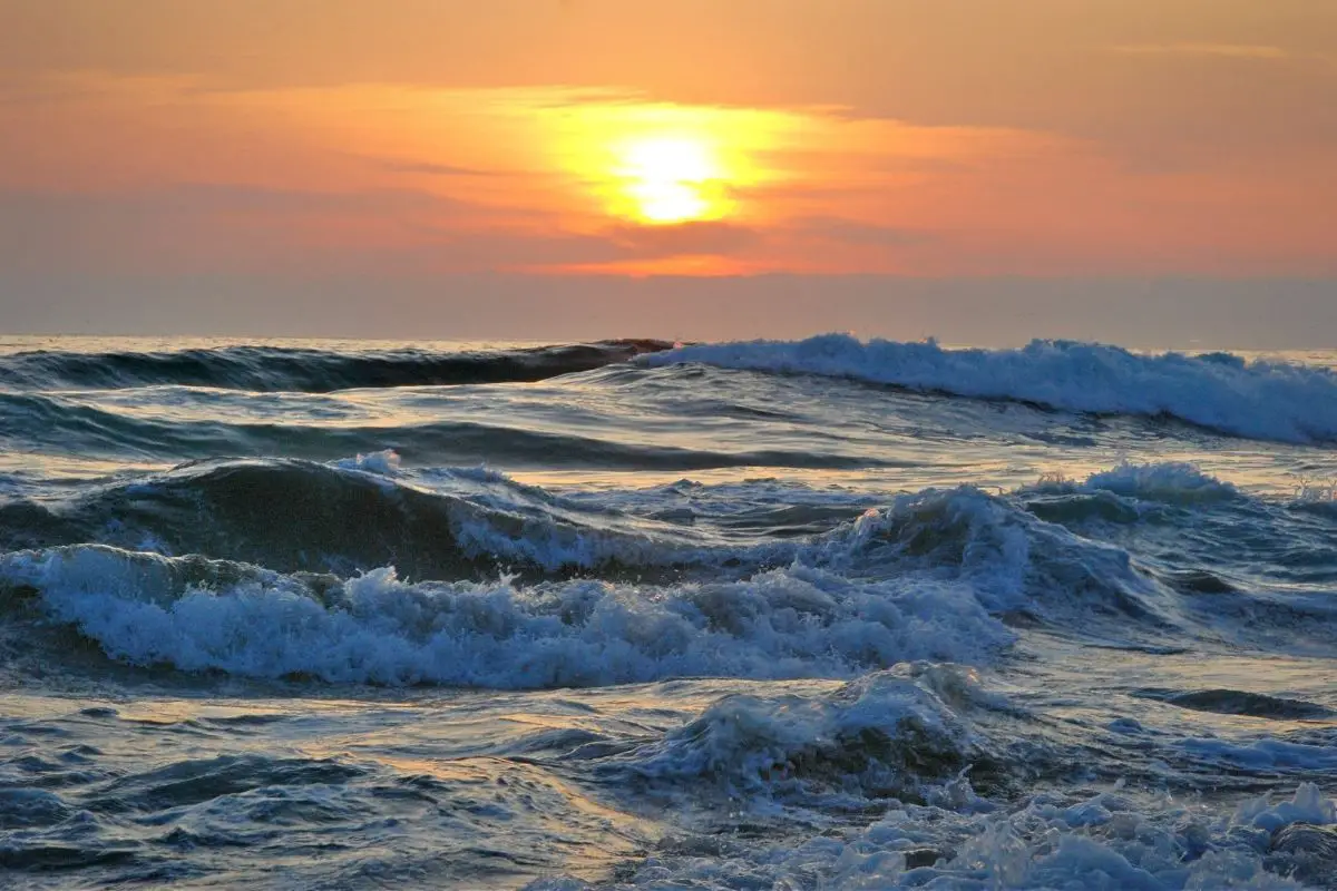 Stockton R&amp;D firm unveils new hydrogen from seawater production process - H2 News
