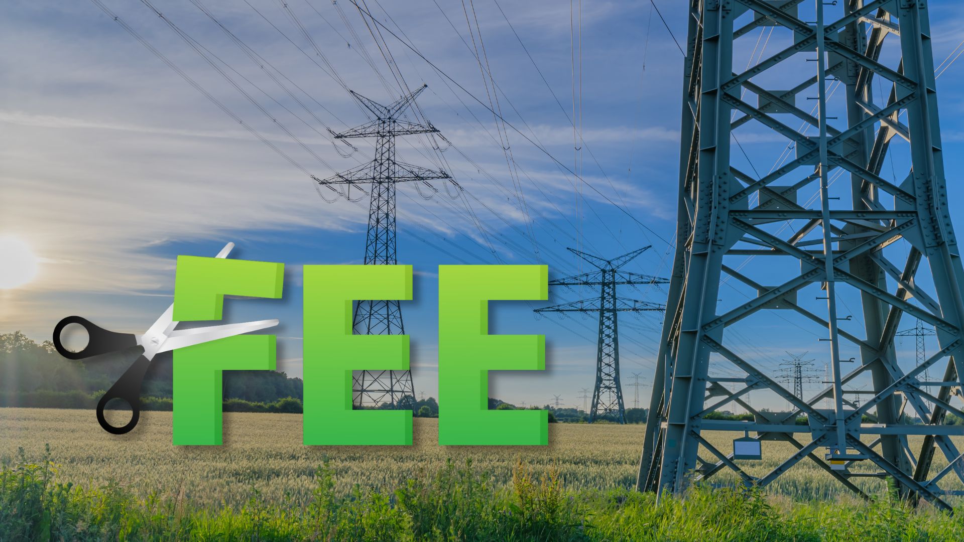 Grid Fee Impact on Green Hydrogen