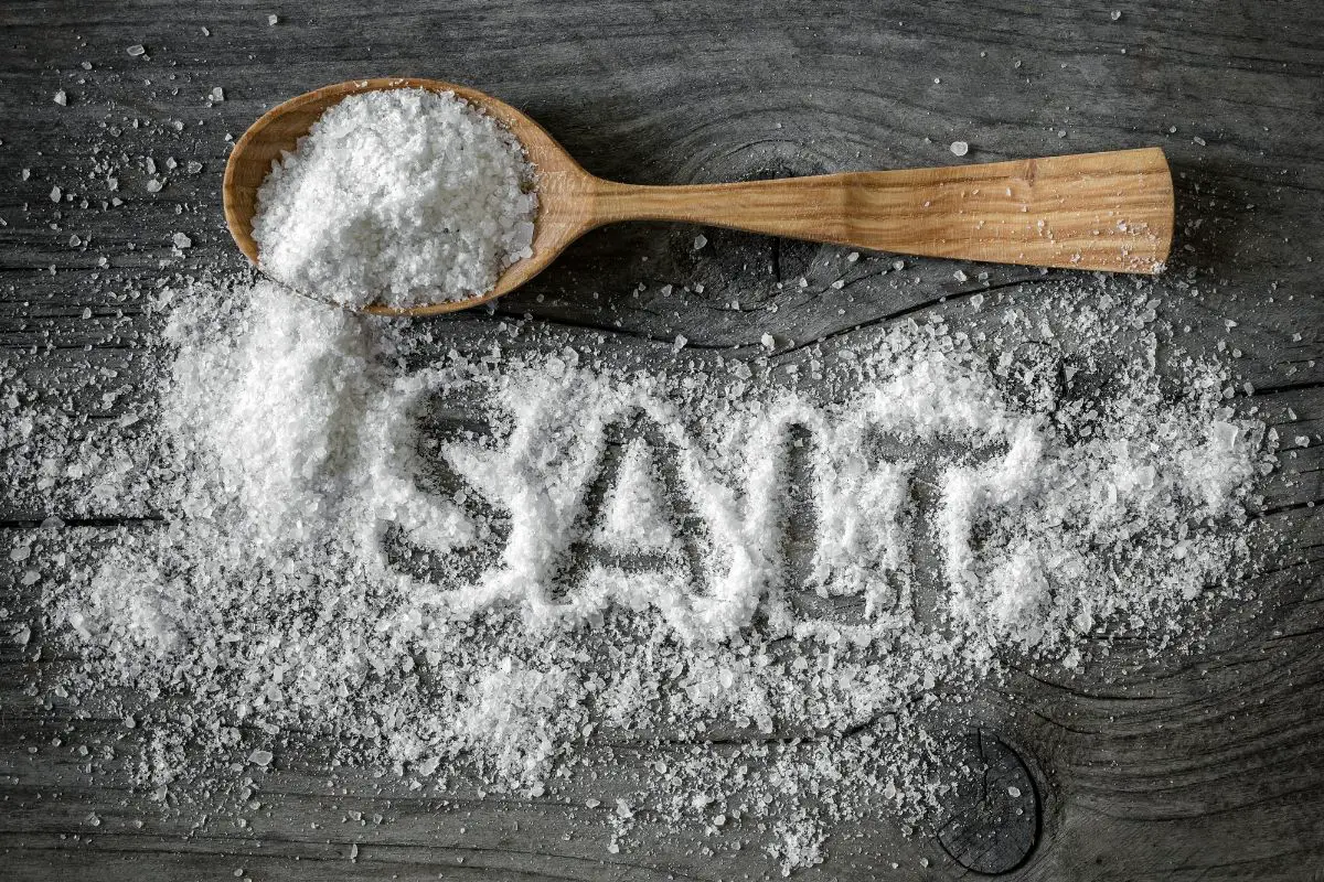 New study finds salt deposits could serve as a hydrogen storage tank - H2 News