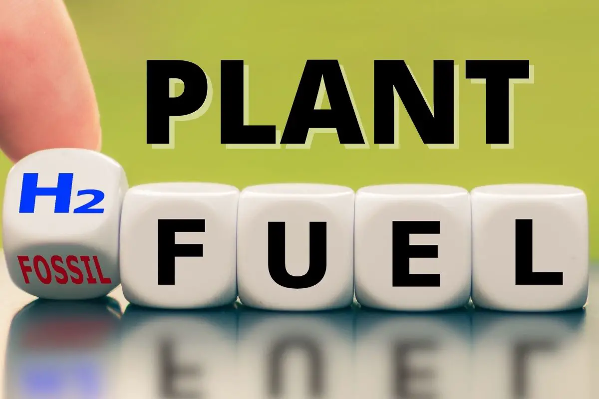 Washington hydrogen fuel plant could get a shot in the arm from Australian company - H2 News